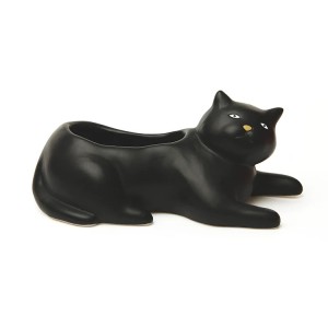 Саксия - Черна котка Космо